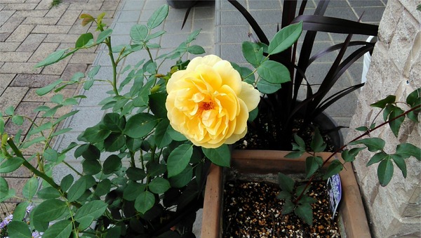 20190530_08
