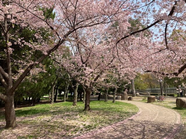 22年4月7日お花 長居公園 未来農園のblog