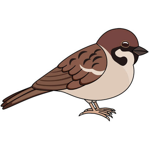 画像あり スズメとかいう見た目だけはめちゃくちゃ可愛い生き物ｗｗｗｗｗｗｗｗ ミラクルミルク