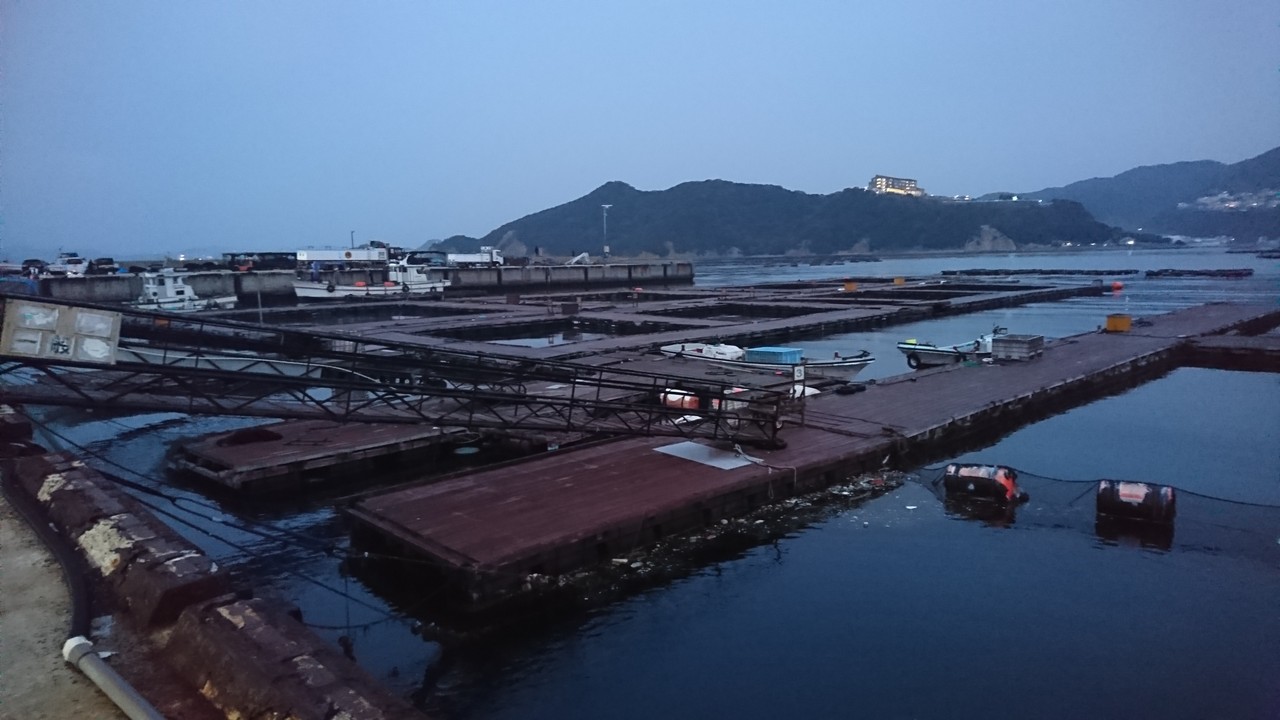 初めての海上釣り堀 淡路じゃのひれフィッシングパークへ 休日は趣味でつぶれます