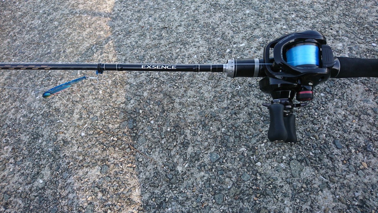 ツバス釣り 休日は趣味でつぶれます