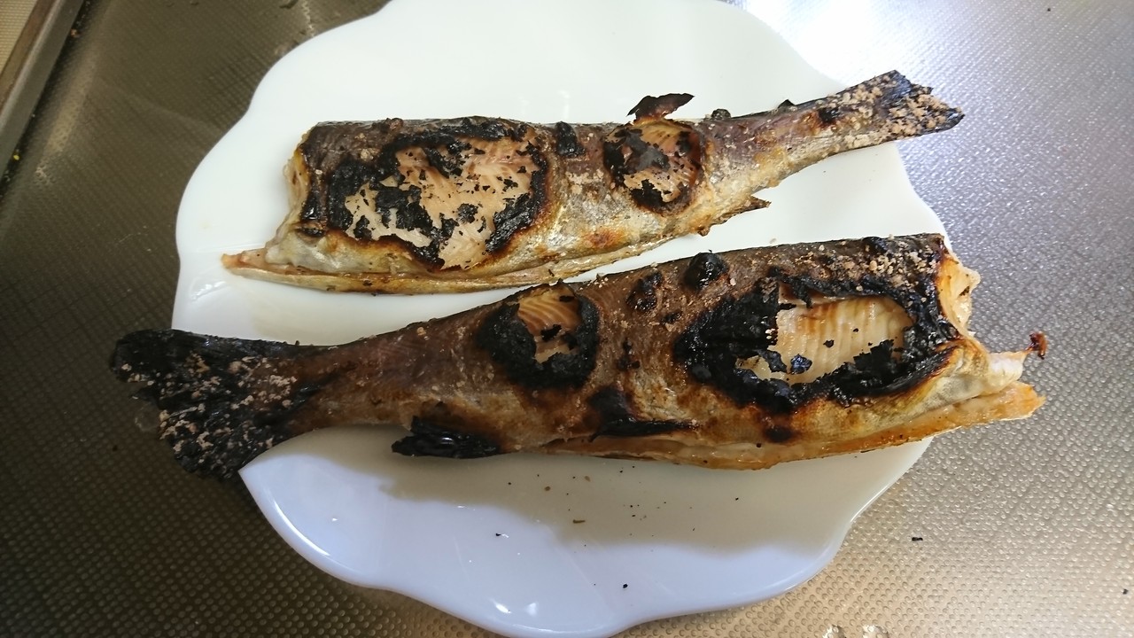 服部緑地ウォーターランドに行ってきました 休日は趣味でつぶれます