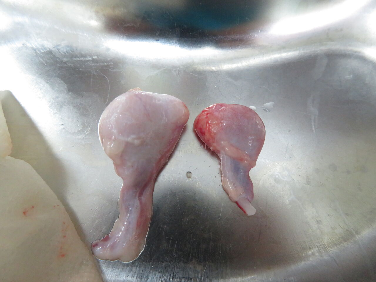 腫瘍 風の動物病院のブログ