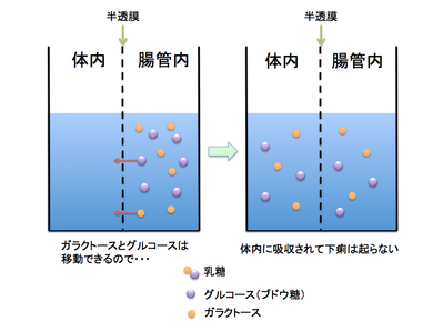 加水分解