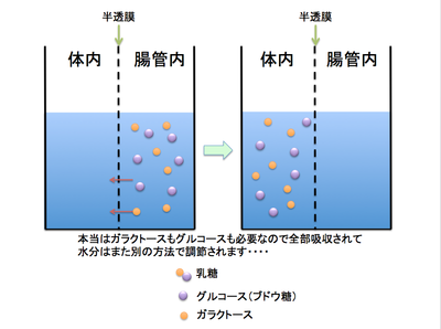 水分調節