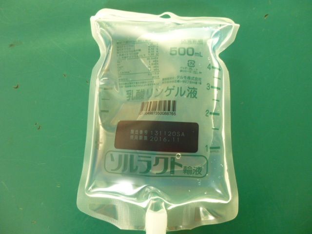 これくらいはお許しを 再利用 風の動物病院のブログ これくらいはお許しを 再利用 風の動物病院のブログ