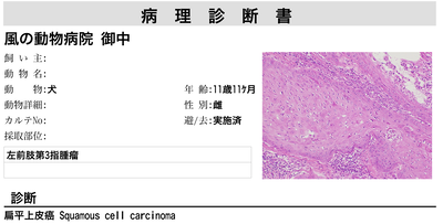 スクリーンショット 2025-11-28 21.32.44