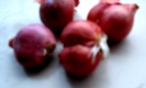 バワン メラ 赤玉ねぎ を植えてみる 物干し支える雲南百薬 みれの南国雑草バトル エクササイズ バワン メラ 赤玉ねぎ を植えてみる 物干し支える雲南百薬 みれの南国雑草バトル エクササイズ