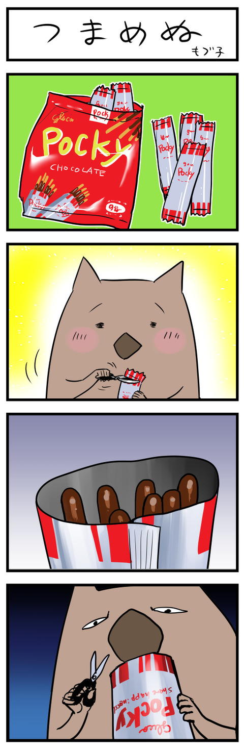 pocky小
