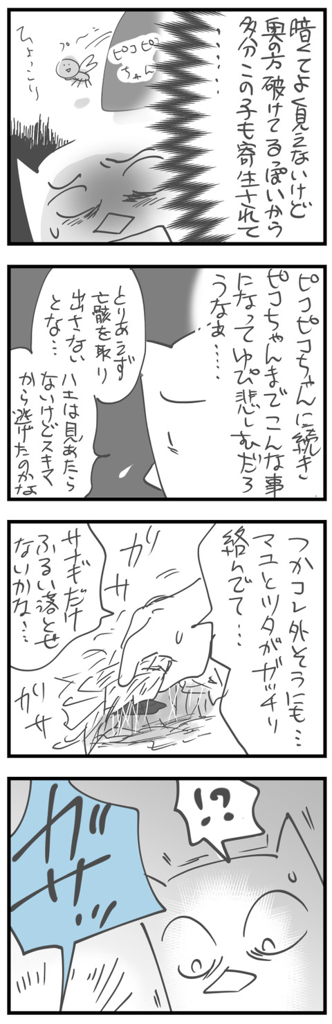 20241004a2