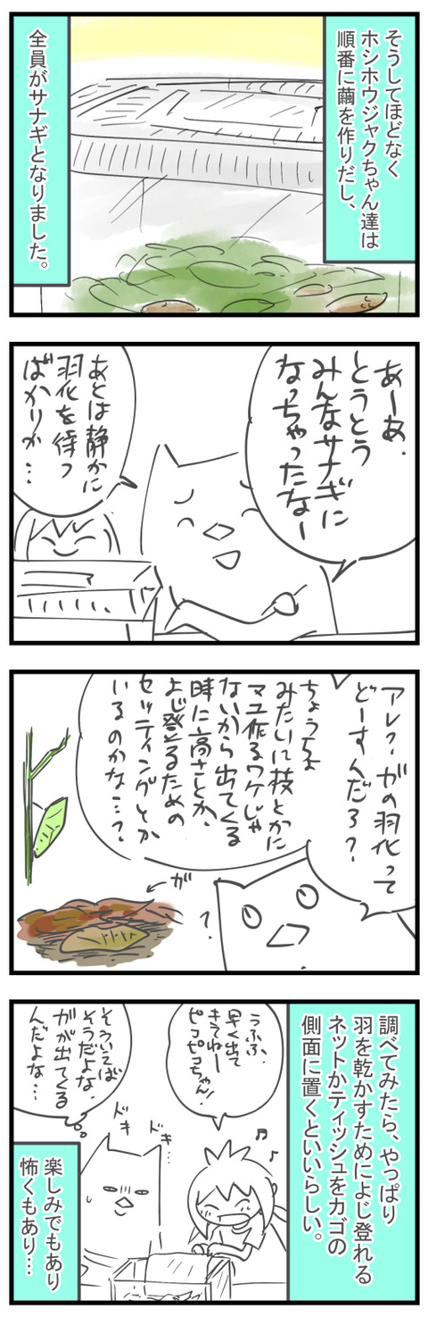 20240929a2