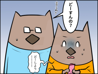 blog