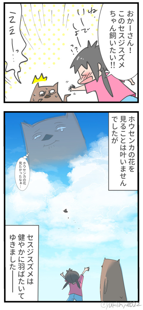 20240819b