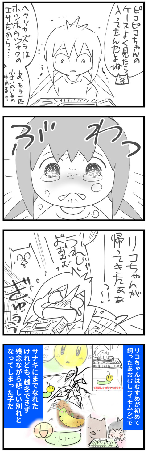 20240922a2