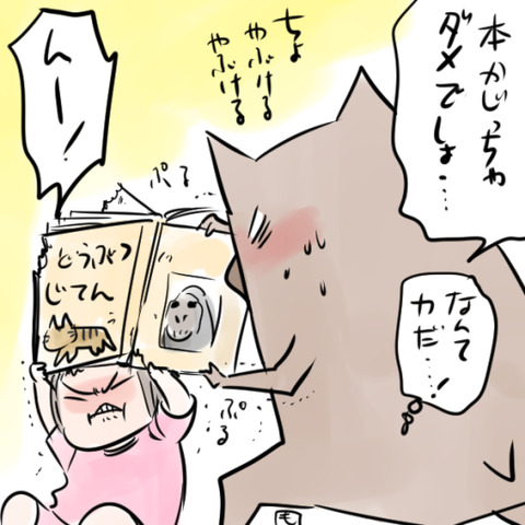 chikara