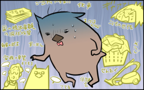 blog