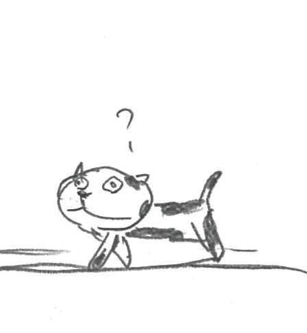 blog6