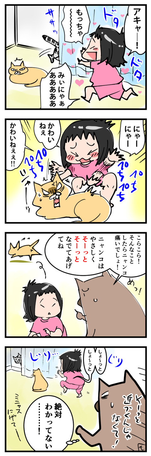nekopechis