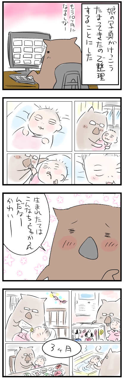 shashinカラー1