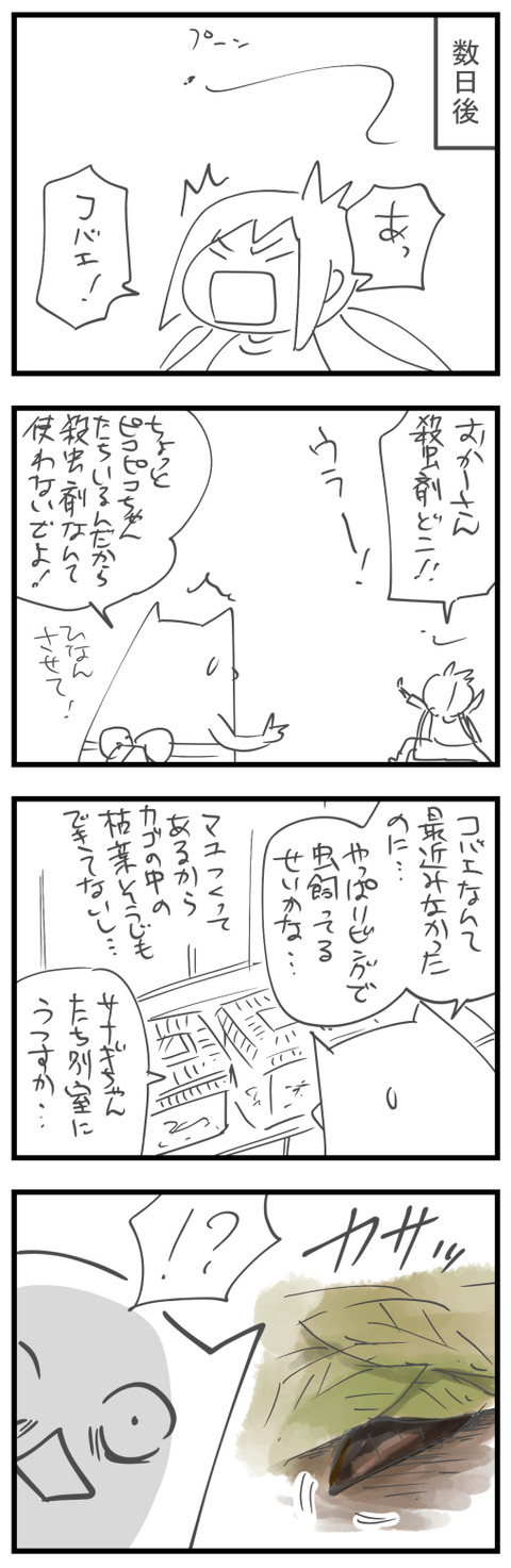 20240929b1