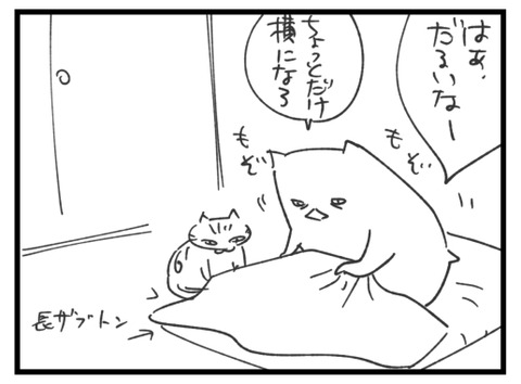 きょうのわたしとむすめとねこ