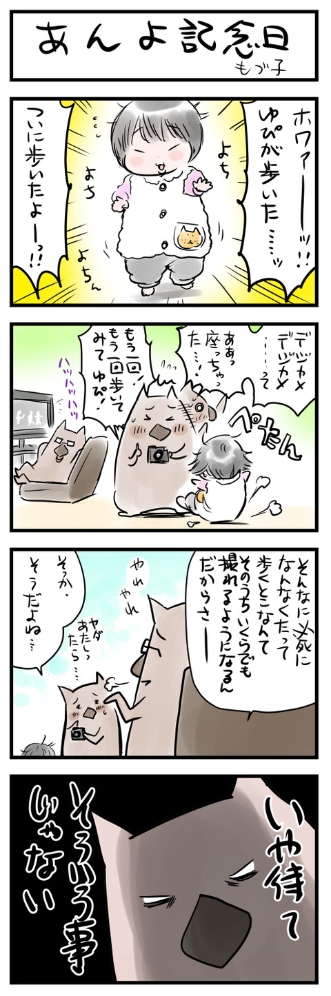 anyo小