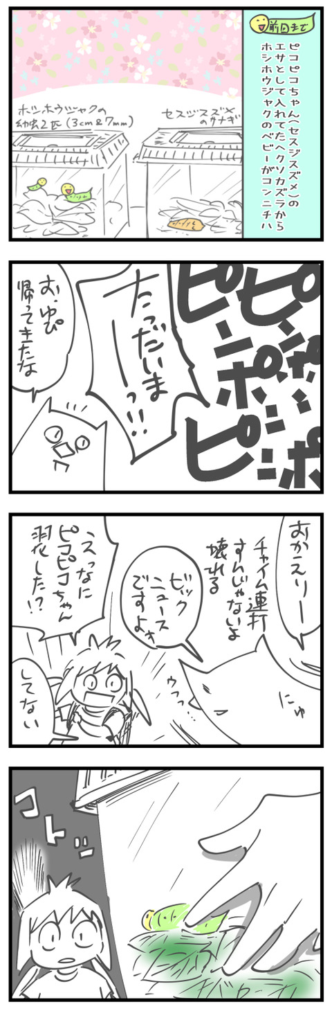 20240922a1
