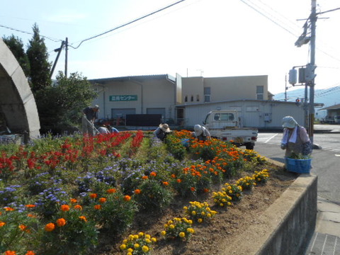 8.1ふれあい花壇