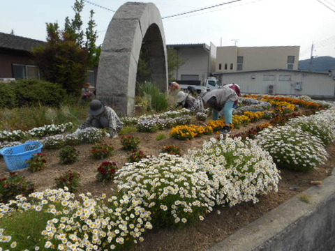 5.11ふれあい花壇