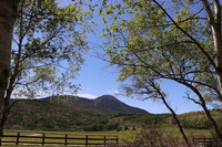 80252111-FA90-4E7A-BEF5-77308CE30803