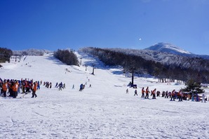 20D4647C-6452-4C24-97E3-3603FAB07B20_1_201_a