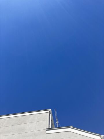 IMG_4444