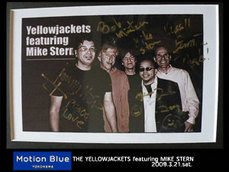 Yellow Jackets