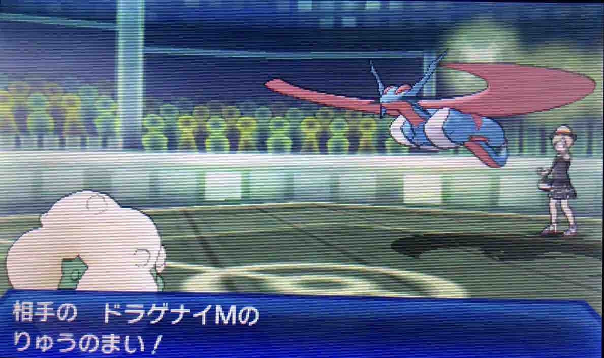 ブログ エアプトレーナー ミルココ ポケモンusum ミルココ小説ブログ ブログ エアプトレーナー ミルココ ポケモンusum ミルココ小説ブログ
