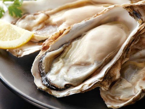 201811260155_top_img_A