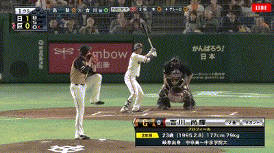 bg_searchArea_touhoku