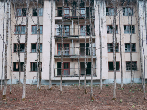 bobsan517P50104143517_TP_V4