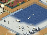 Zoo003