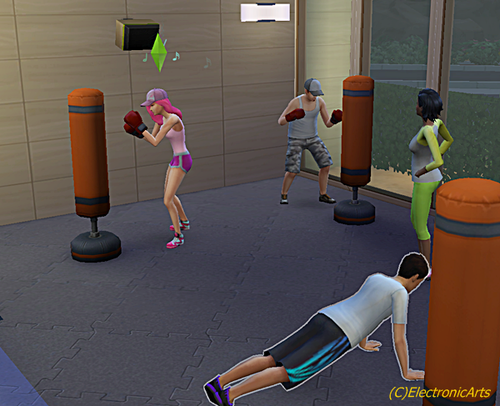 sims4alissa09