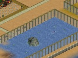 Zoo006