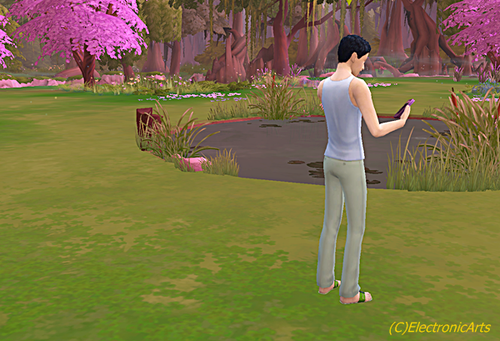 sims4easton45