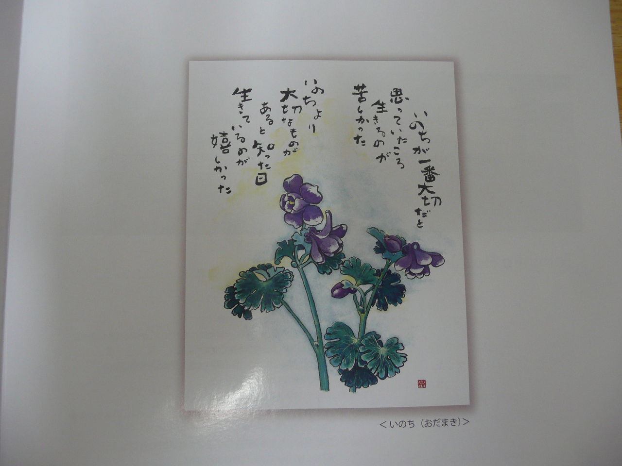 星野富弘花の詩画展 いのちより大切なもの 13 2 27水 みさおばさんの有閑日記
