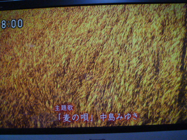 大将vsマッサン 15 1 17土 みさおばさんの有閑日記 大将vsマッサン 15 1 17土 みさおばさんの有閑日記