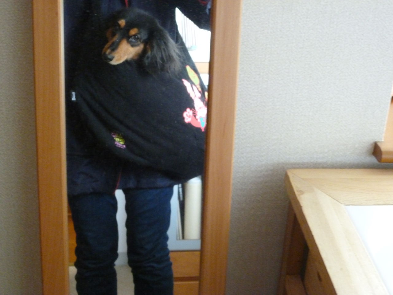 犬をバッグに入れての散歩 14 2 18火 みさおばさんの有閑日記 犬をバッグに入れての散歩 14 2 18火 みさおばさんの有閑日記