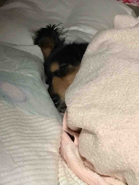 IMG_2425
