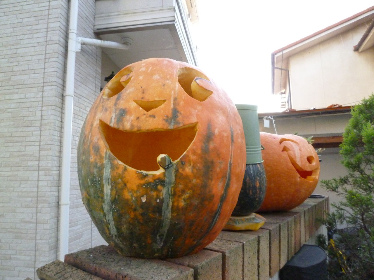 ハロウィンのおばけかぼちゃ 13 10 30水 みさおばさんの有閑日記