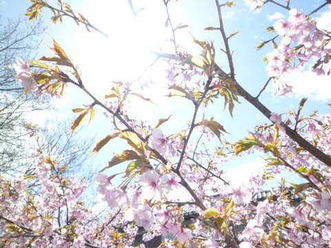 017