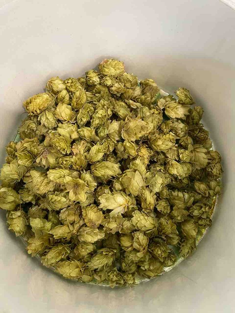 IMG_2939