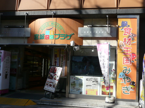 P1010991