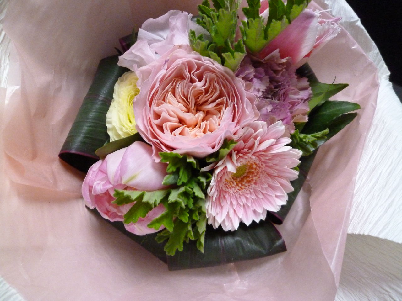 花より団子 14 3 26水 みさおばさんの有閑日記 花より団子 14 3 26水 みさおばさんの有閑日記